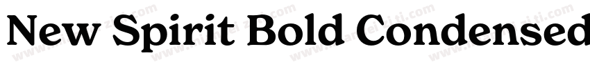 New Spirit Bold Condensed字体转换